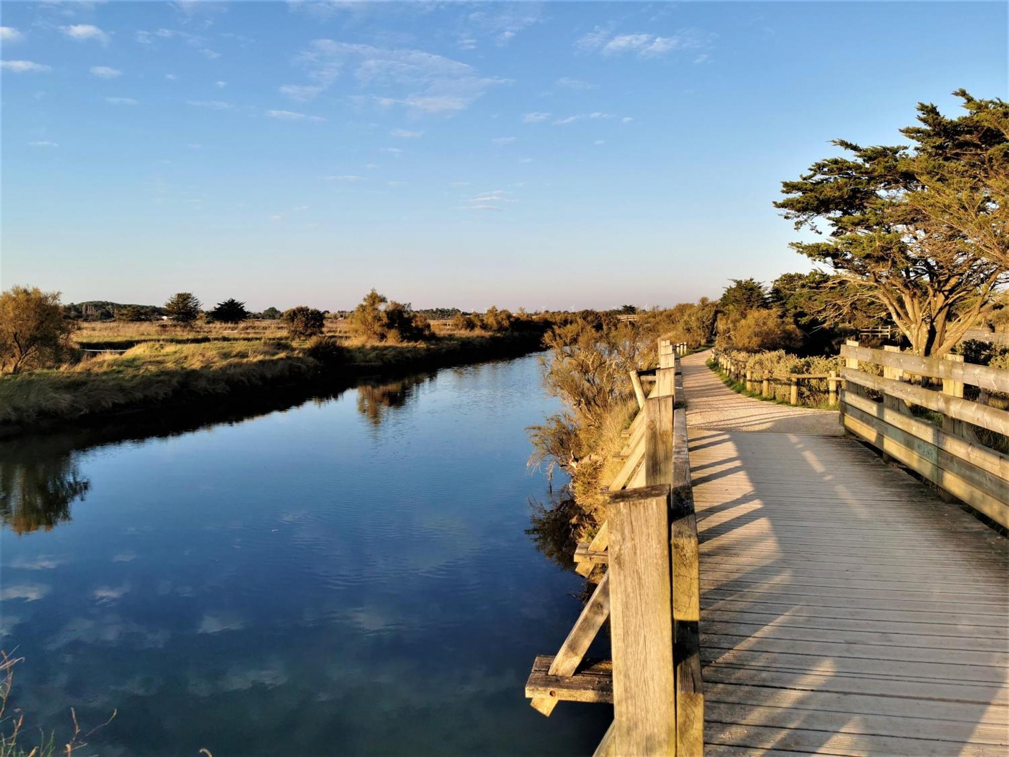 Villa La Lezardiere A Deux Pas Des Quais Les Sables-dʼOlonne Exterior foto